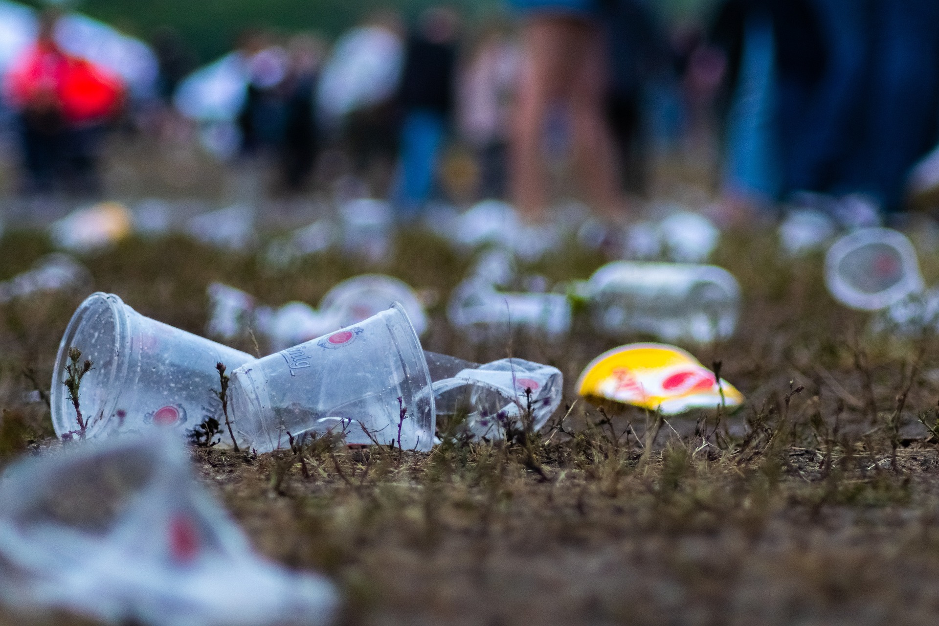 přednáška: ROLLING WASTE - Co s odpadky na hudebních festivalech?