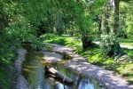 Otevření revitalizované části náhona v Chrudimi